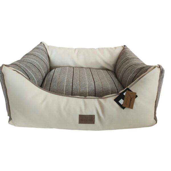 099 righe