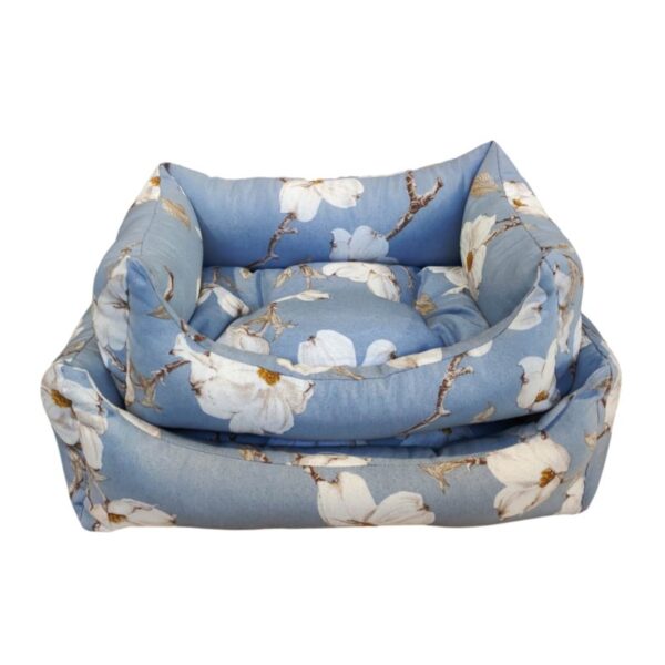 053 magnolia azzurra