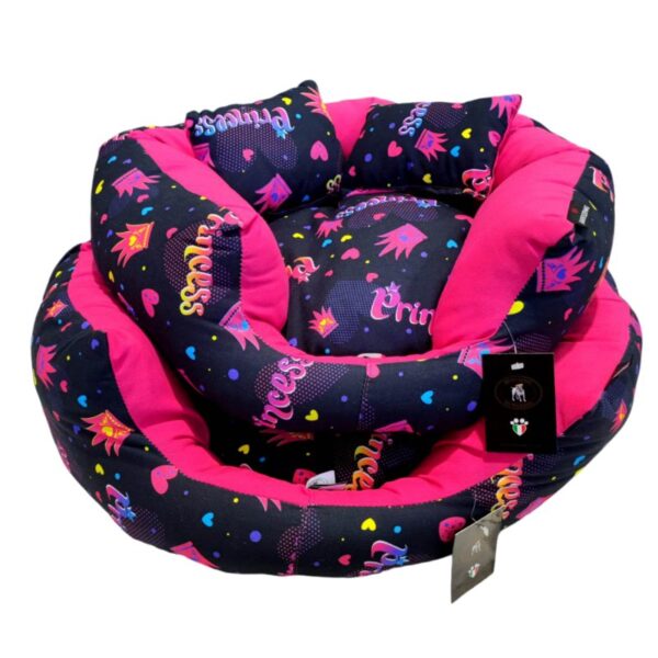 171 princess